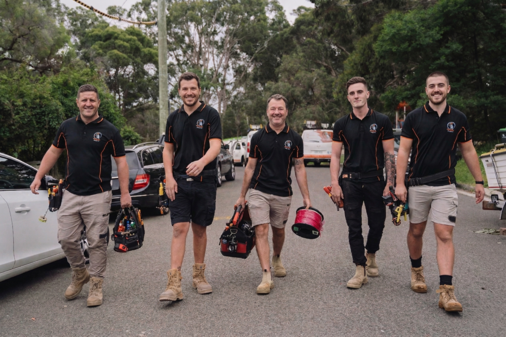 Professional electrical services in Balgowlah